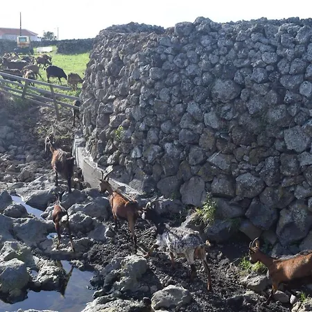 Casas Da Ribeira Hébergement de vacances *