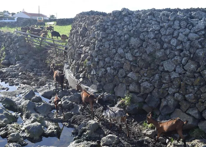 Casas Da Ribeira Дом отдыха *